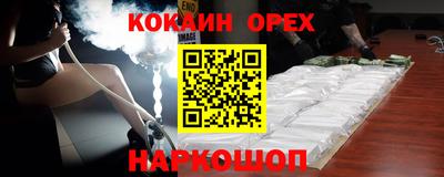 индика Кингисепп