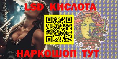 индика Кингисепп