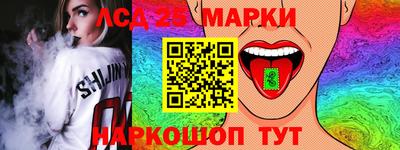 индика Кингисепп