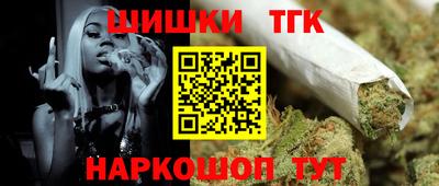 индика Кингисепп