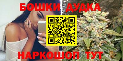 индика Кингисепп