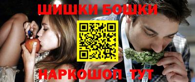 индика Кингисепп