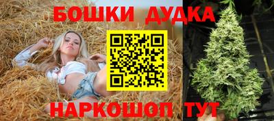 индика Кингисепп