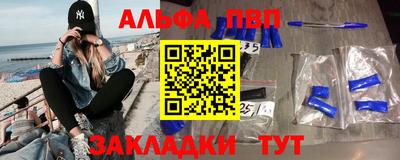 индика Кингисепп
