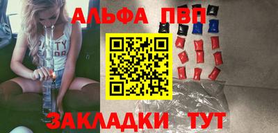 индика Кингисепп