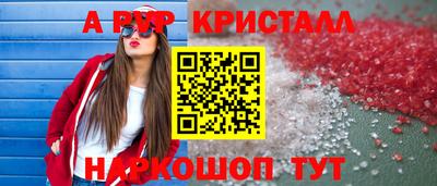 индика Кингисепп
