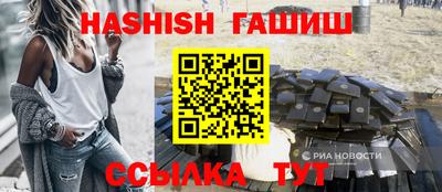 индика Кингисепп