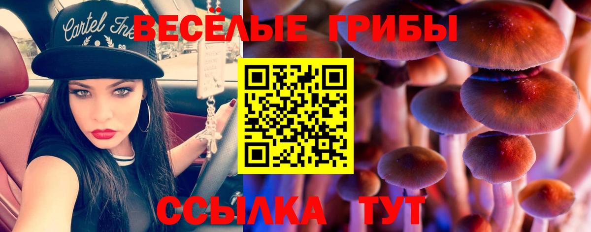 Коркино  Псилоцибиновые грибы мицелий  Вход с VPN 